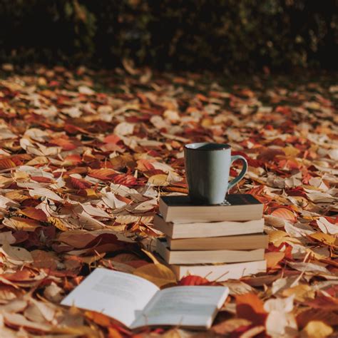 Autumn Book Cozy Wallpapers - Wallpaper Cave