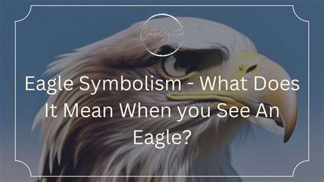 Eagle Symbolism - What Does It Mean When you See An Eagle?