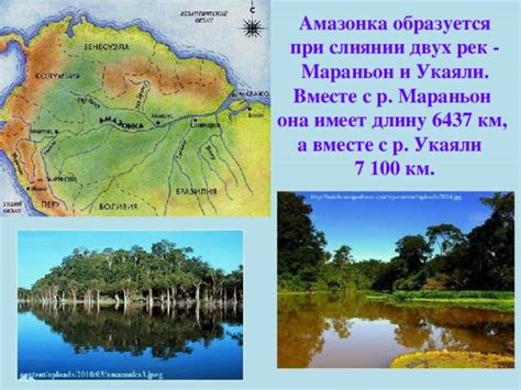 Притоки Амазонки: основные, правые и левые, крупнейшие и самые крупные ...