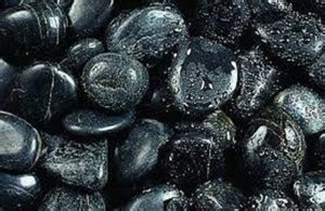 UNIQ WORLD WIDE River Rock Planted Substrate Price in India - Buy UNIQ ...