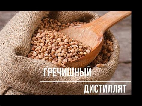 Гречишная брага. Гречишный самогон. Гречишный дистиллят. - YouTube