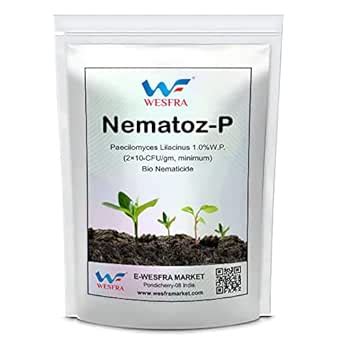 Nematoz-P | Paecilomyces Lilacinus 1.0% W.P | Bio Nematicide | 900g ...