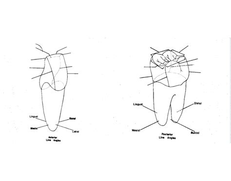 Line Angle Teeth 的图像结果