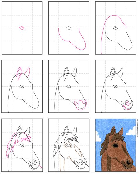 Horse Outline Drawing Easy Step By Step