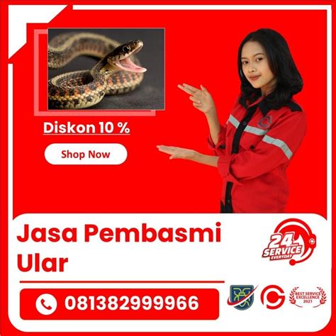 Jasa Pawang Ular Jogja | Garda Pest
