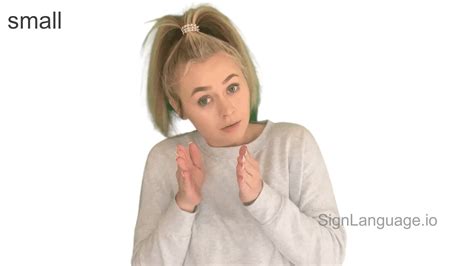 Image result for Small ASL Sign