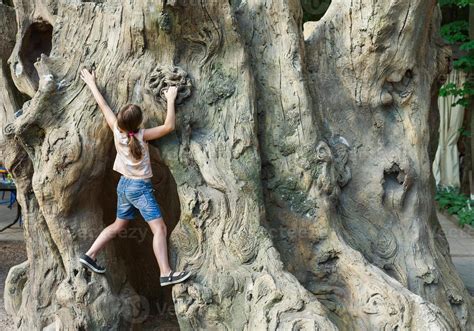Climb That Tree 的图像结果