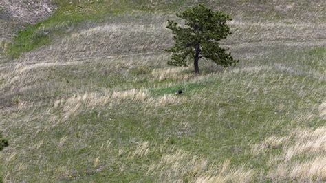 Niobrara River Refuge | Nenzel Nebraska | Fay Ranches