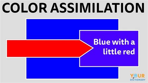Image result for Types of Assimilation