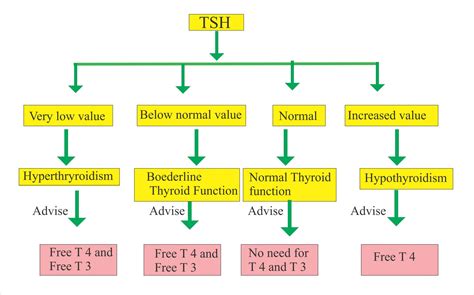 Tsh 低い Ft4 正常, Tshだけ高い 原因 _ 橋本病・甲状腺機能低下症 – IBZN