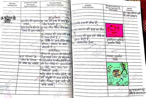 Biology Teaching Lesson plan on "Food" भोजन in hindi