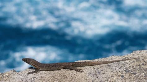 By Nature (Funchal) - 2021 What to Know Before You Go (with Photos ...