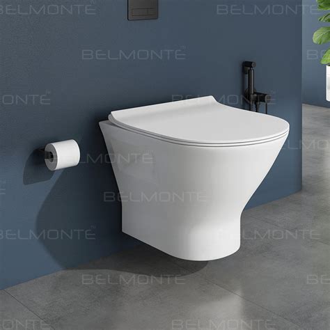 Wall Hung Wc (Sanitee) – Belmonte Bath LLP