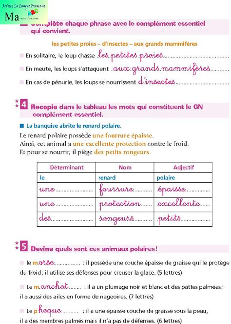 Image result for Complement Cod Coi