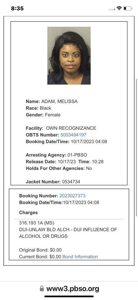 ADAM, MELISSA PBSO Charges 316.193... - Palm Beach Mug Shots