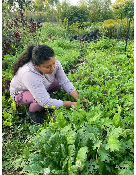 Working in the Garden in Spring, Plant Chicago, 17 April 2024 | AllEvents