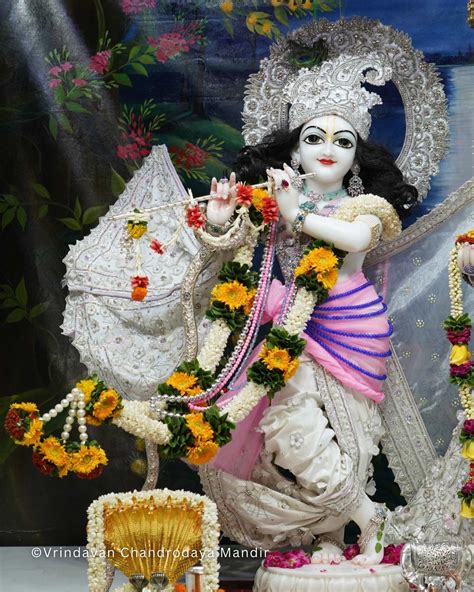 Daily Darshan