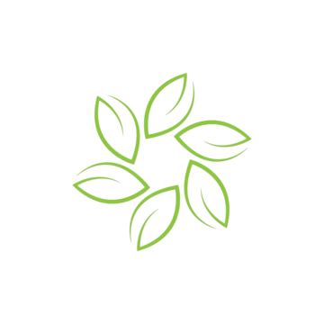 Image result for Spring Leaf Logo Java