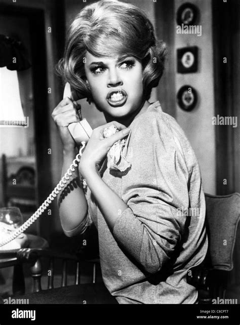 Adjustment Of High Resolution Stock Photography and Images - Alamy