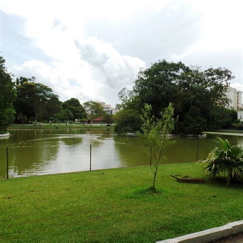 PARQUE DOS PINHEIROS (2025) All You Need to Know BEFORE You Go (with ...