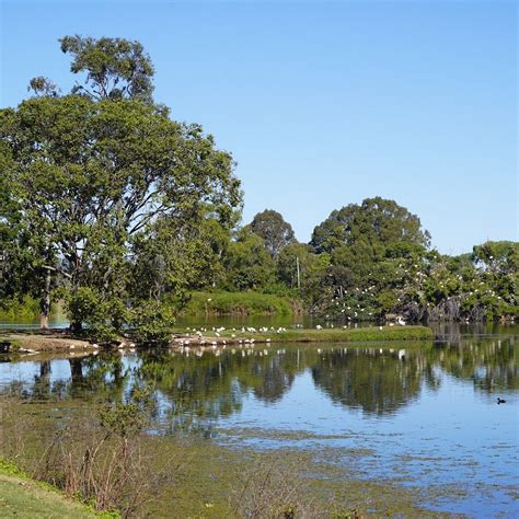 ANZAC PARK AND ULULAH LAGOON (2025) All You Need to Know BEFORE You Go ...