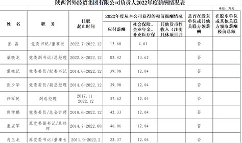 陕西省外经贸集团有限公司负责人2022年度薪酬情况表-陕西省外经贸集团有限公司