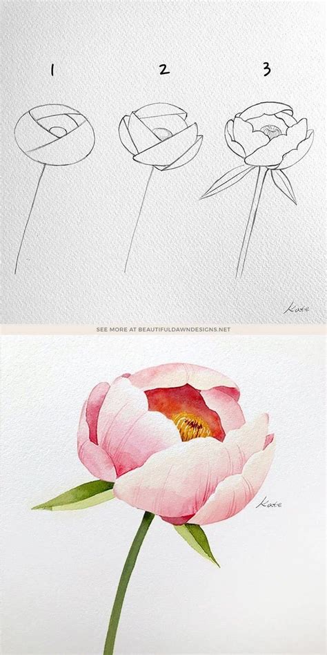 Image result for Drawing Tutorial for Flower