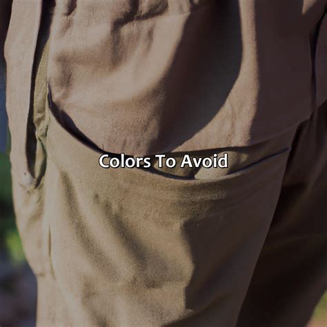 What Color Shirt Goes With Green Khaki Shorts at Charles Bolden blog