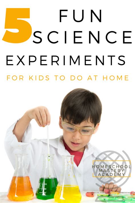 Science Fun 的图像结果