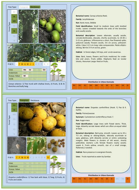 FOREST TREES OF CENTRAL WESTERN GHATS