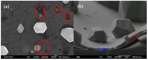 Discrepancies in the Microstructures of Annealed Cu–Zr Bulk Alloy and ...