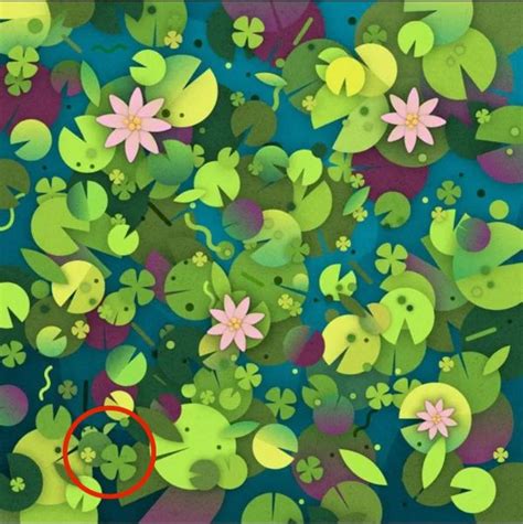 Seek and Find Puzzle: Find the Hidden Turtle Among the Leaves in 17 Seconds