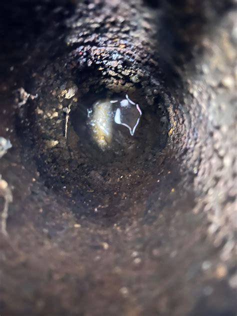 Gross + Smelly basement floor drain : r/Plumbing