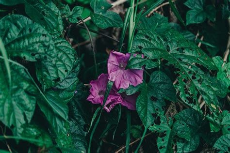 Earth Wallpaper 的图像结果