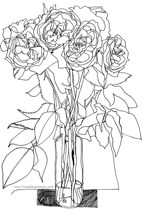 Continuous Line Contour Drawing 的图像结果