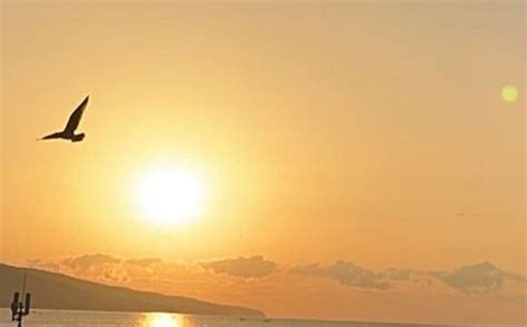 GLARUS BEACH (Sunny Beach) - Hotel Reviews, Photos, Rate Comparison ...
