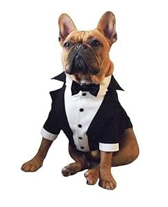 Dog Tuxedo Dress Dog Suit or Tuxedo Dogs Wedding Party Suit Wedding Bow ...