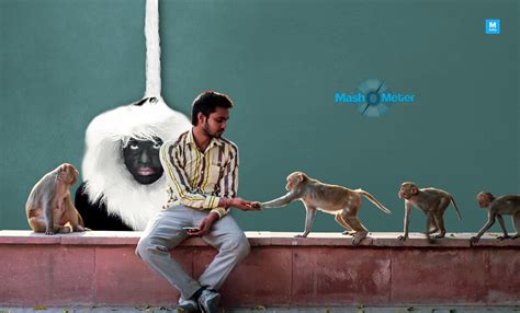 'Eeb Allay Ooo!' Review: Prateek Vats' Social Satire Is The Most ...