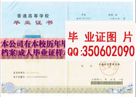 上海对外经贸大学毕业证档案学位证图片模板