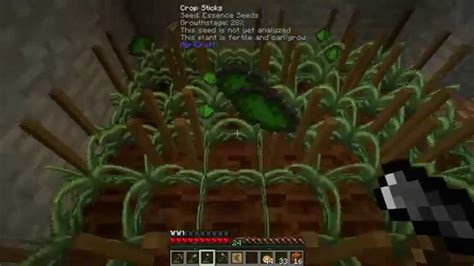 Regrowth Modpack 的图像结果