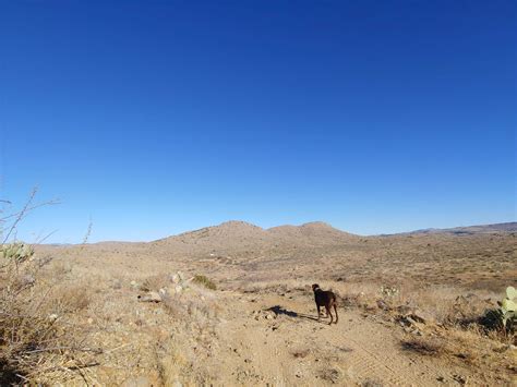Bloody Basin Rd / Agua Fria NM Dispersed Camping | Cordes Junction, AZ