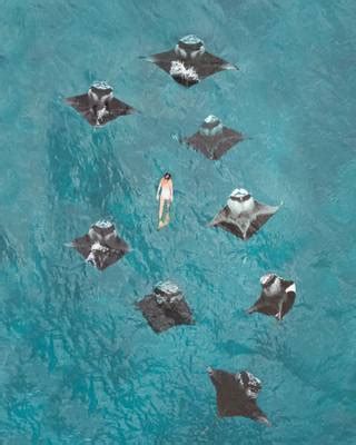 Fushifaru Maldives | Bilder, Videos, Drohnenaufnahmen