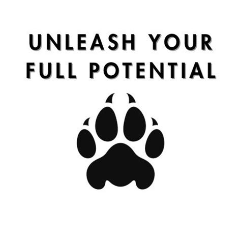 Step Aerobics, 280 Middle Country Road, Selden, NY, 1 May 2024 | AllEvents