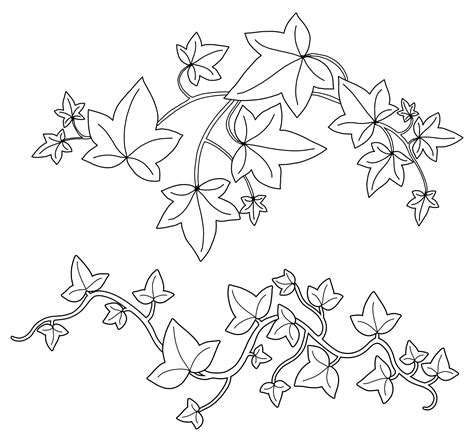 Printable Pumpkin Vine Template | Leaf drawing, Flower drawing, Vine ...