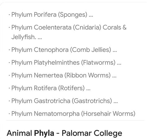 all 10 phylum names - Brainly.in