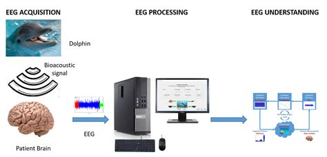 Brain-Inspired Healthcare Smart System Based on Perception-Action Cycle