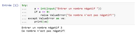 Image result for Negatif D'une Image Python