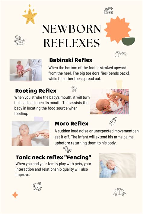 Newborn Reflex 的图像结果