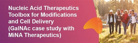 Nucleic Acid Therapeutics Toolbox for Modifications and Cell Delivery ...