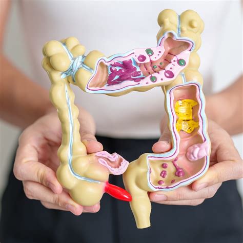 Exploring the Benefits of Colon Hydrotherapy - Kent Detox